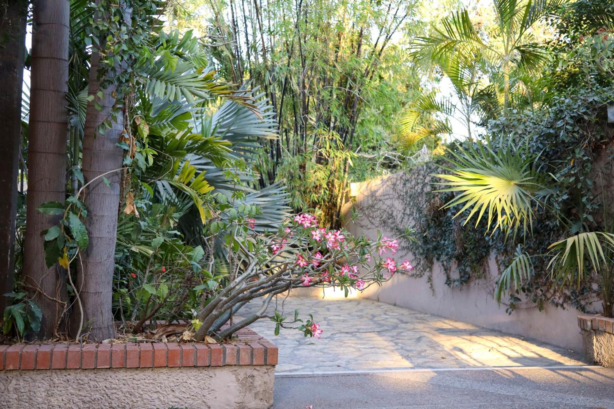 Hotel Casa Ortiz Ciudad Valles Zewnętrze zdjęcie