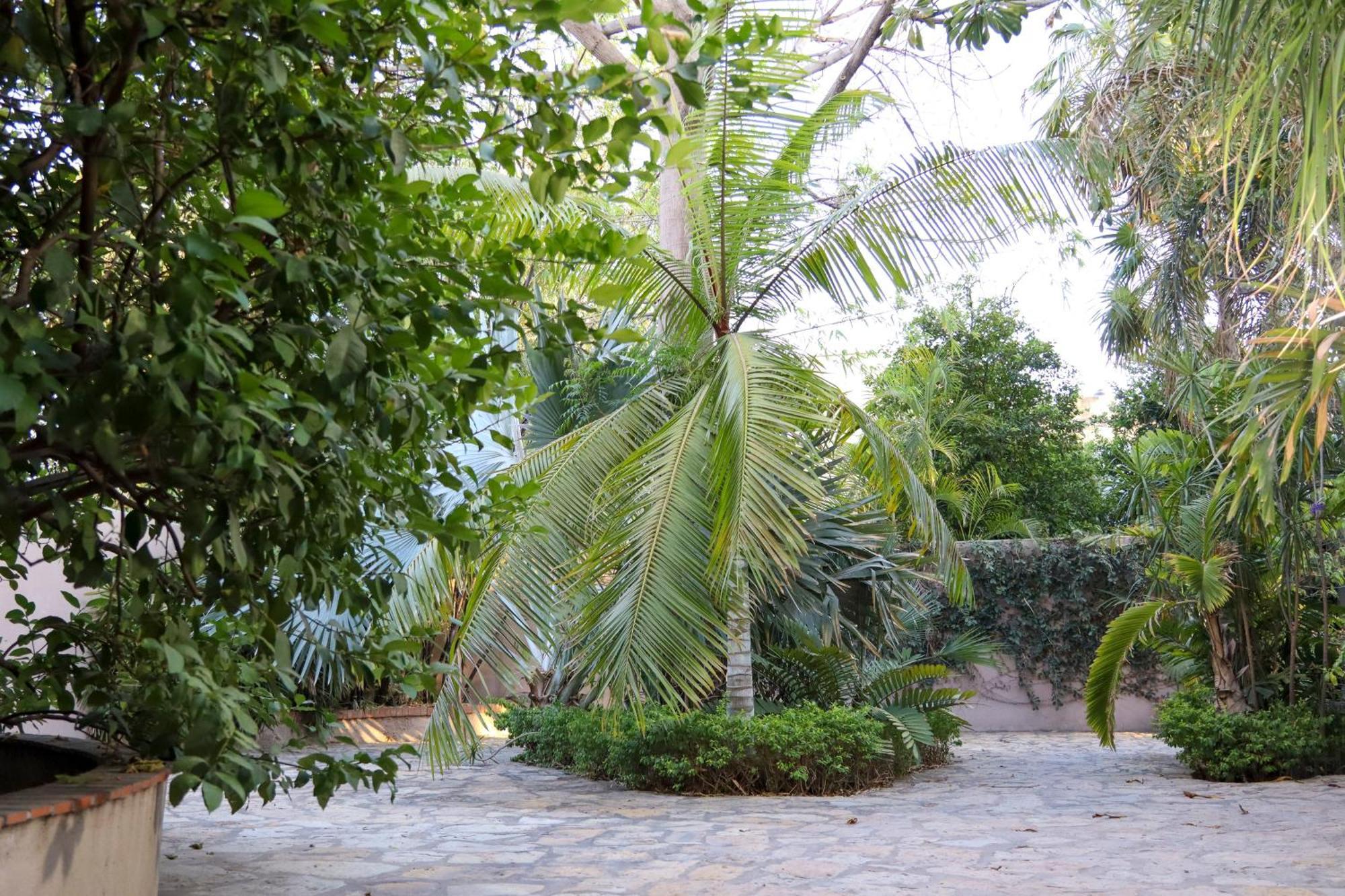 Hotel Casa Ortiz Ciudad Valles Zewnętrze zdjęcie